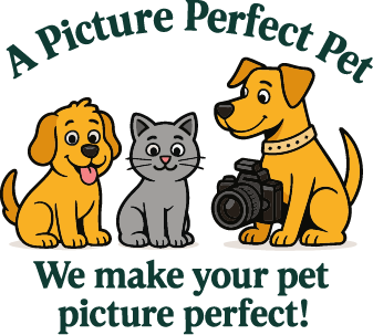 A Picture Perfect Pet Grooming logo